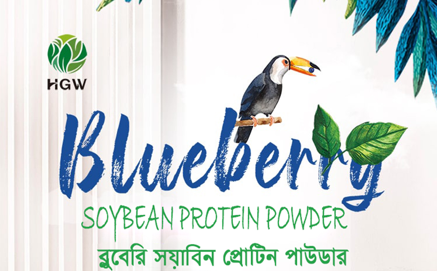 BLUBERRY SOYBEAN PROTIN POWDER